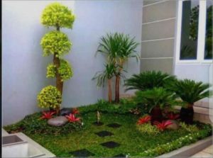 Tukang Taman Kelapa Gading